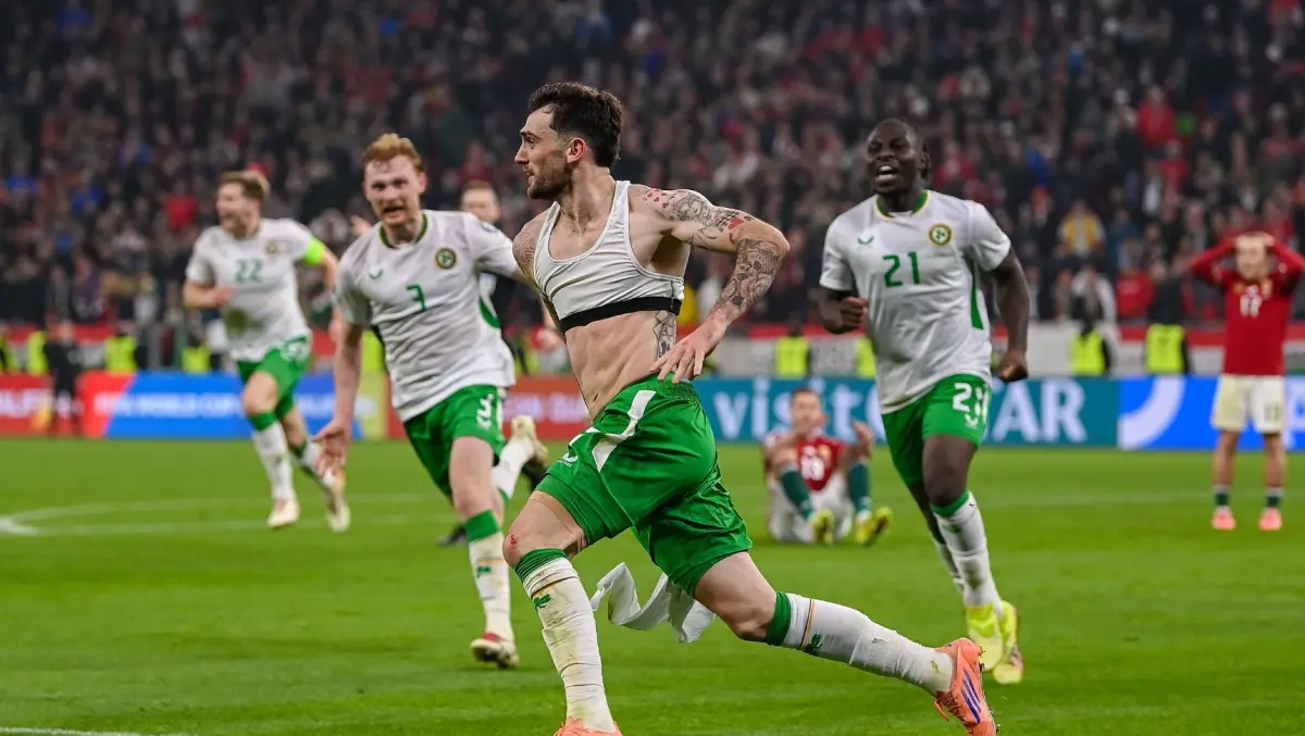 World Cup, Ireland, Parrott, camel live