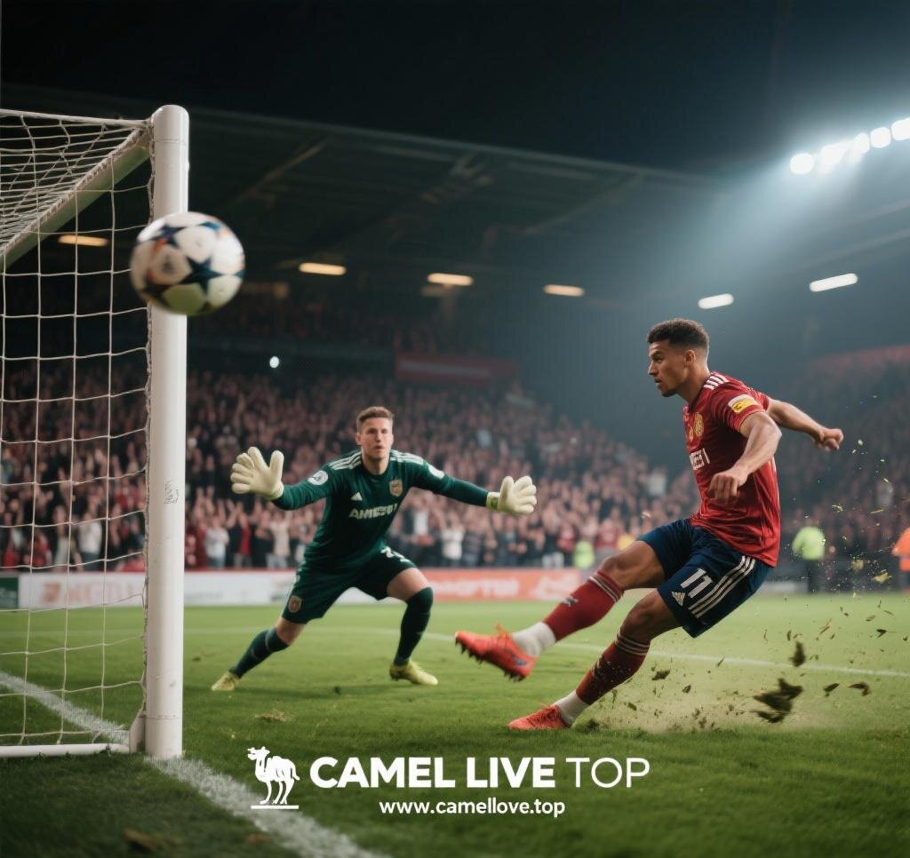 Camel Live Video Quality Poor