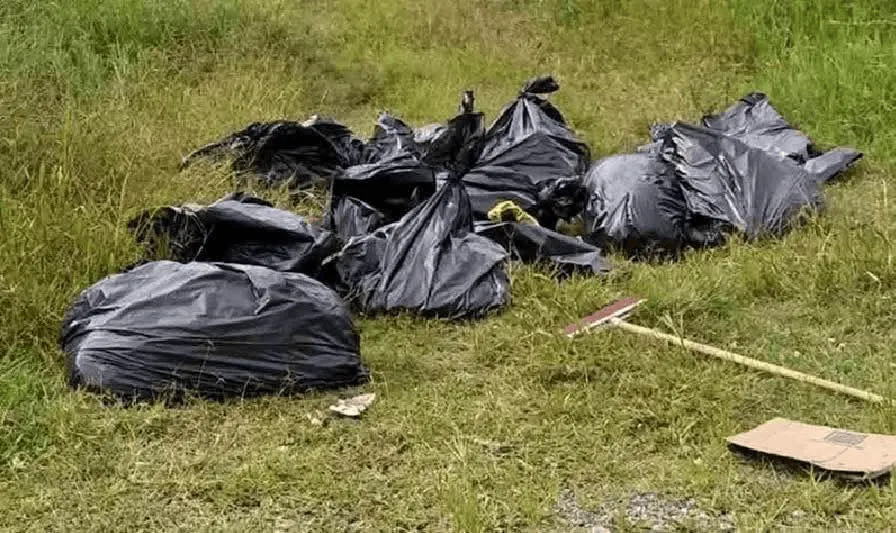 FIFA World Cup, Draws, Mexico, Free Live Stream, camel live